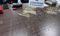 Митниците