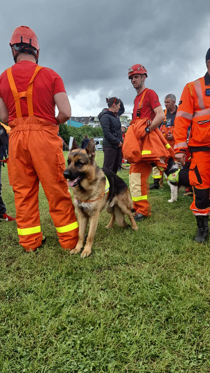 Кметът Фандъкова: Около 500 души и седем институции се включват в учението за действие при земетресение