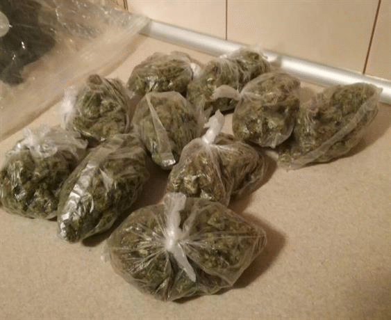 При поредната спецакция срещу наркоразпространението в Русе са задържани четирима, иззети са наркотици и пособия за пакетиране