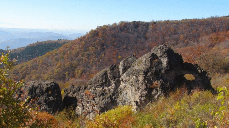 Обявени са четири нови защитени територии и е въведена промяна в площта на една