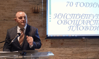 МЗХГ