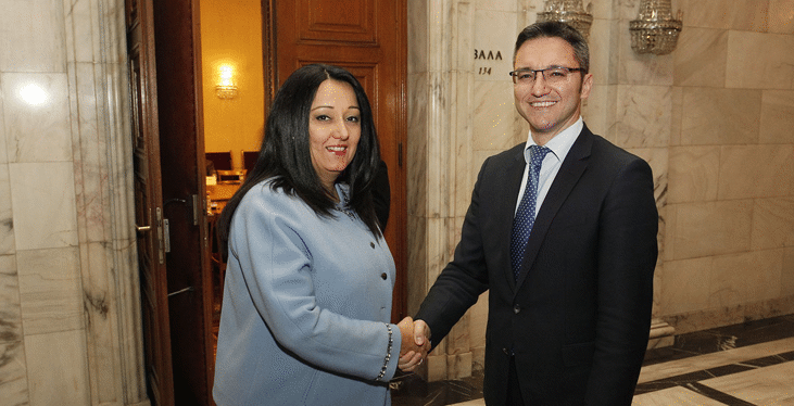 Поне 20 нови инициативи се очаква да предложи Европейската комисия по време на Българското председателство на Съвета на ЕС, съобщи министърът за Българското председателство на Съвета на ЕС 2018 Лиляна Павлова пред народните представители от Комисията по европейските въпроси и контрол на европейските фондове