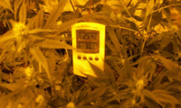 МВР