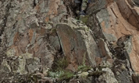 МО