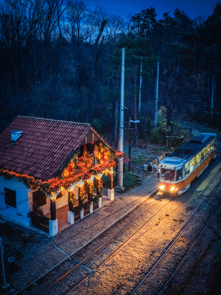 Спирка „Вишнева“ вече е част от коледната магия на София!