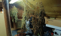 Прокуратурата