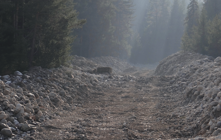 На Националния празник пожертваха Национален парк „Пирин“