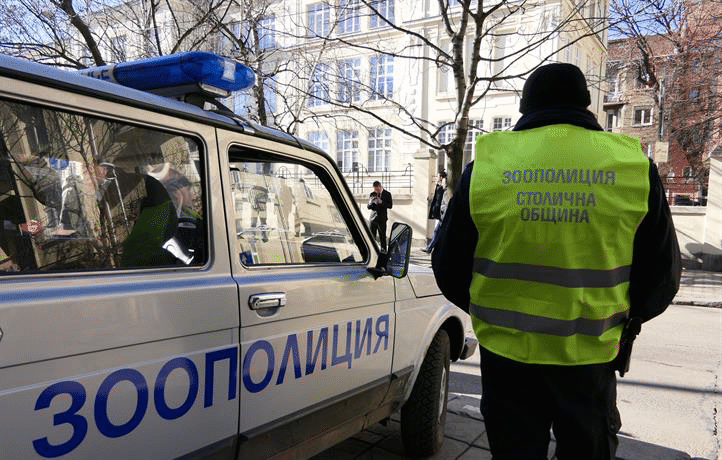 22 досъдебни производства за упражнено насилие над животни са образувани за миналата година във Варна