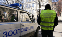 МВР