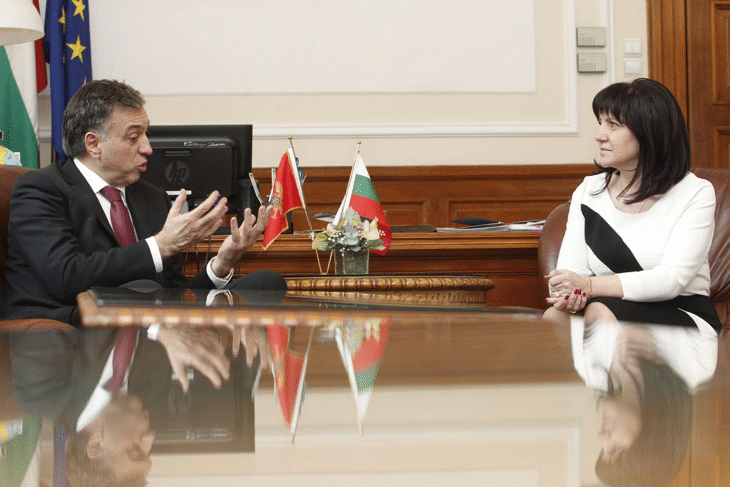 Българското председателство на Съвета на ЕС през тази година е от особено значение за Западните Балкани, заяви президентът на Черна гора Филип Вуянович на срещата си с председателя на Народното събрание Цвета Караянчева