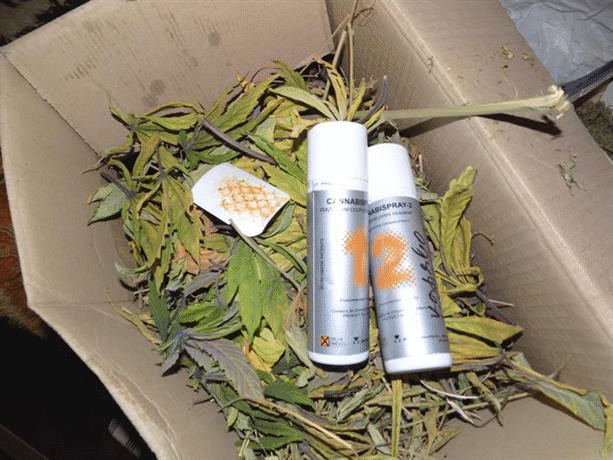 Домашна оранжерия за отглеждане на канабис разкриха криминалисти на РУ-Костинброд