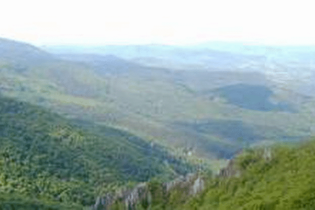 Н.Пр. Джеймс Уорлик и зам.-министърът на земеделието и храните доц. Георги Костов засадиха бяла ела в природен парк „Българка”