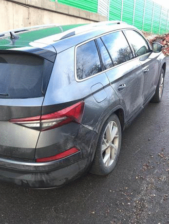 Гранични полицаи от РДГП-Драгоман задържаха дрогиран полски гражданин, превозвал 10 незаконни мигранти