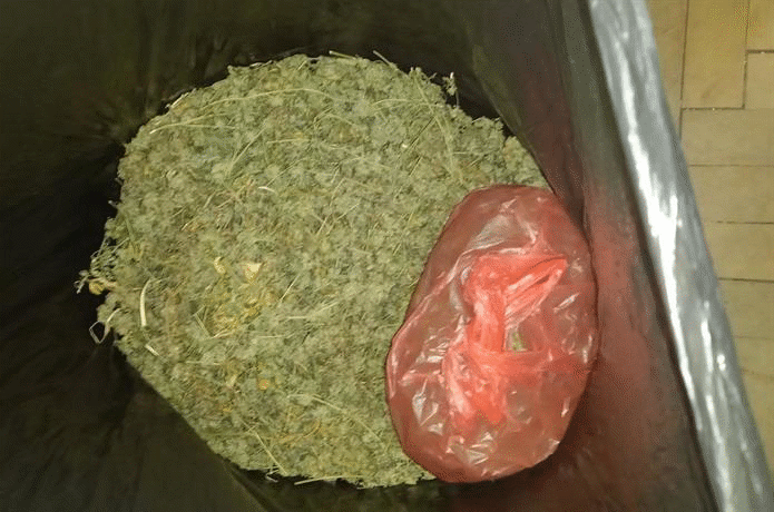 Близо 3 кг марихуна са иззети при спецоперация на криминалисти от ОДМВР-София