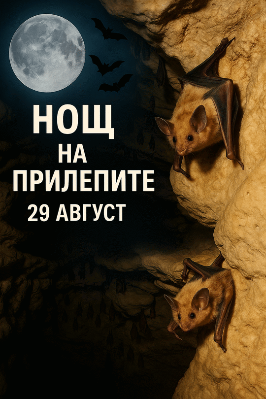 29 август - Европейска нощ на прилепите