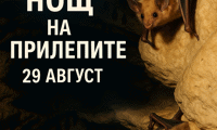 МОСВ