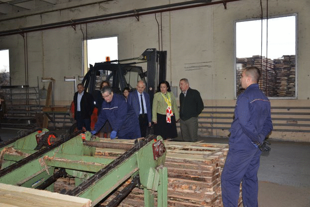 Снимки на министъра на земеделието и храните Десислава Танева от официалното представяне на системата за независимо електронно проследяване и отчитане на дървесината в преработвателно предприятие за дървесина  в град Русе