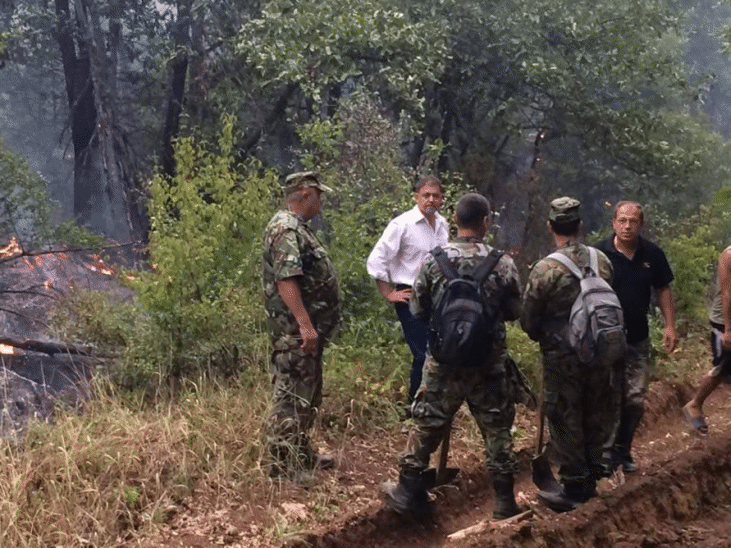 Министърът на отбраната Николай Ненчев: Военнослужещите от Българската армия работят в добра координация с пожарникарите и се справят отлично